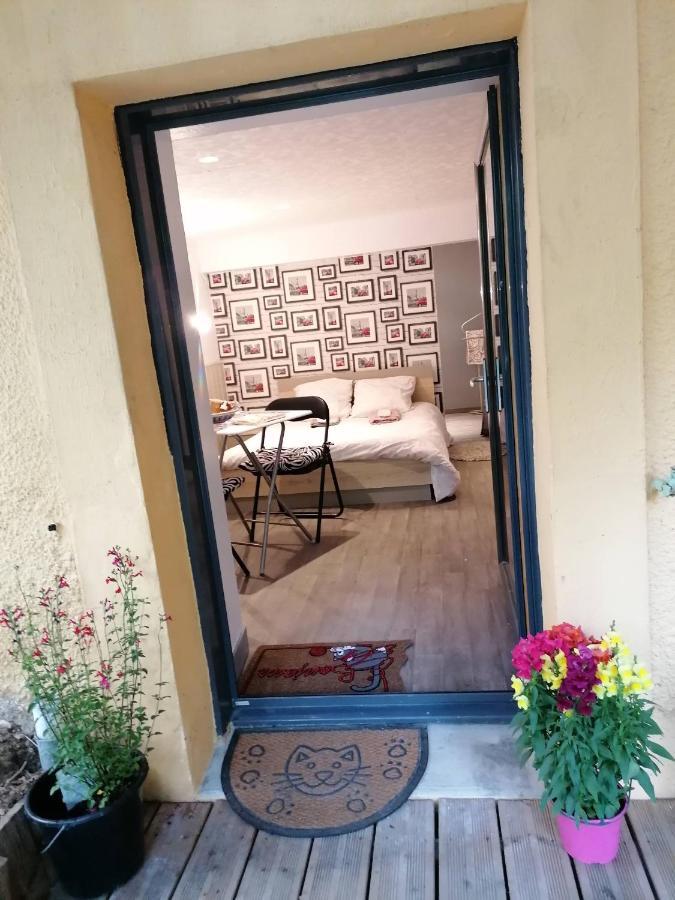 Guest House Dans Jardin Exotique Proche D'Une Voie Verte Morlaix Zewnętrze zdjęcie